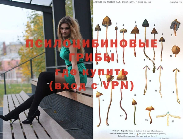 твердый Алексин