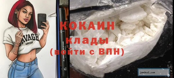твердый Алексин
